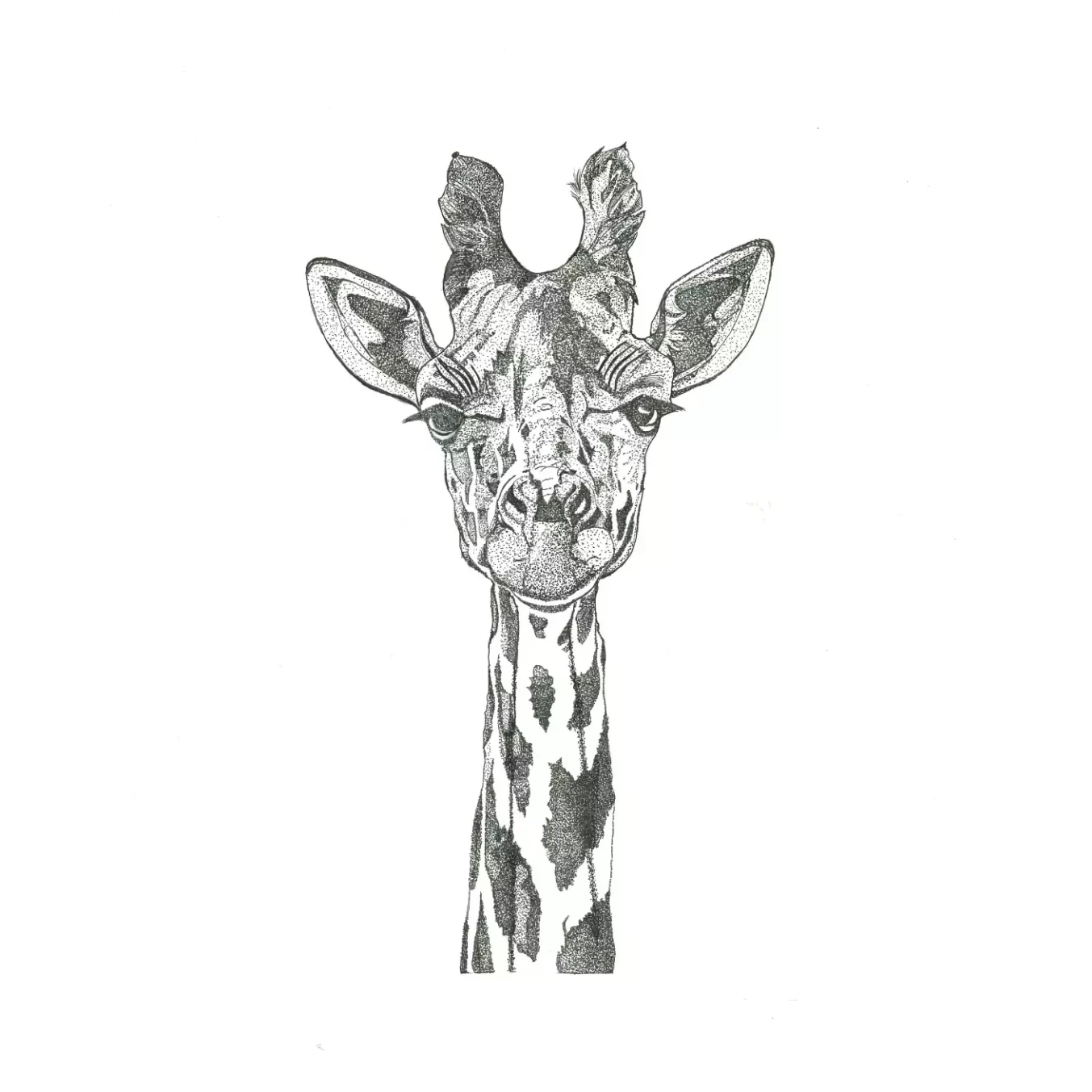 girafe