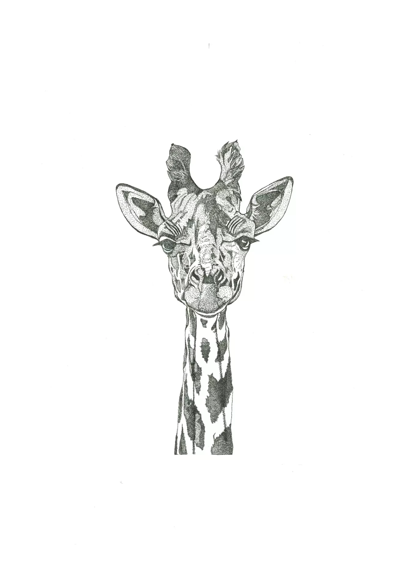 girafe