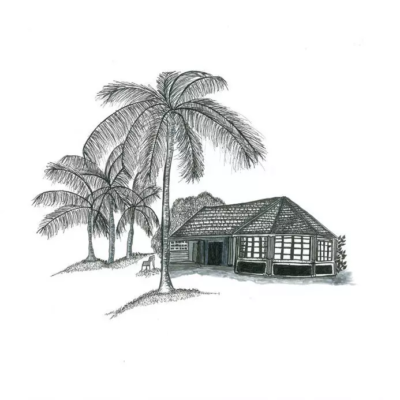 Maison sous les cocotiers