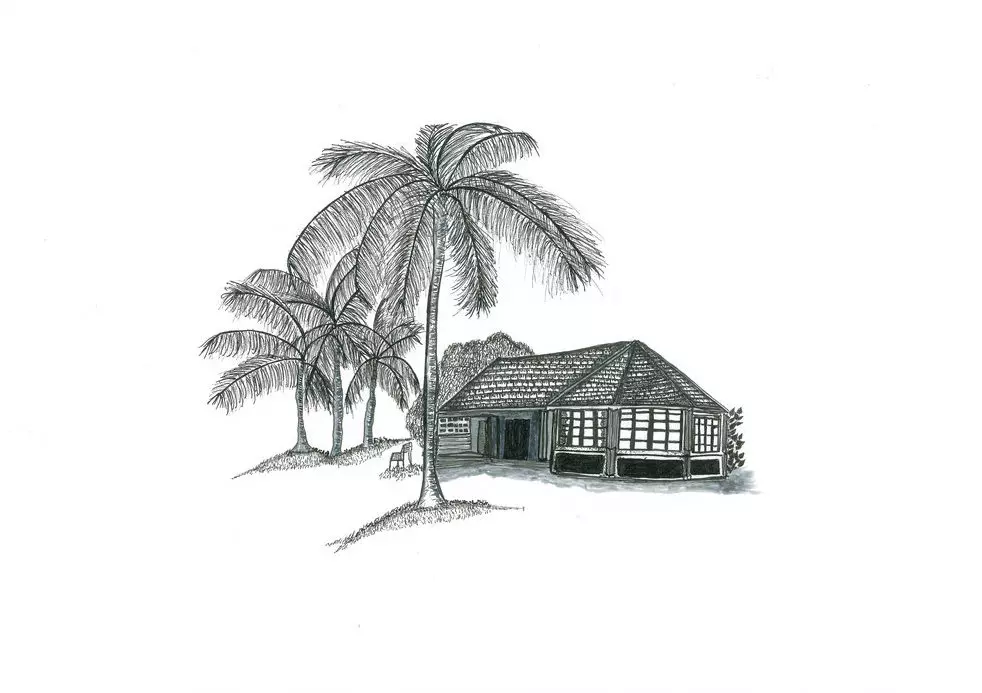 Maison sous les cocotiers