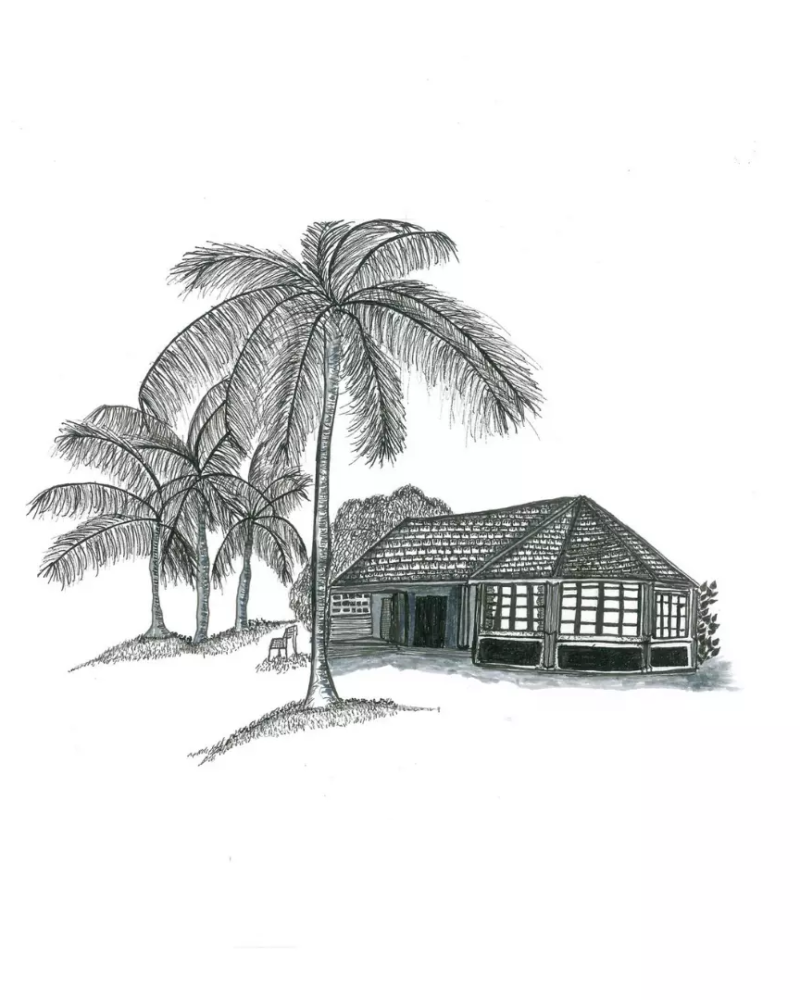 Maison sous les cocotiers